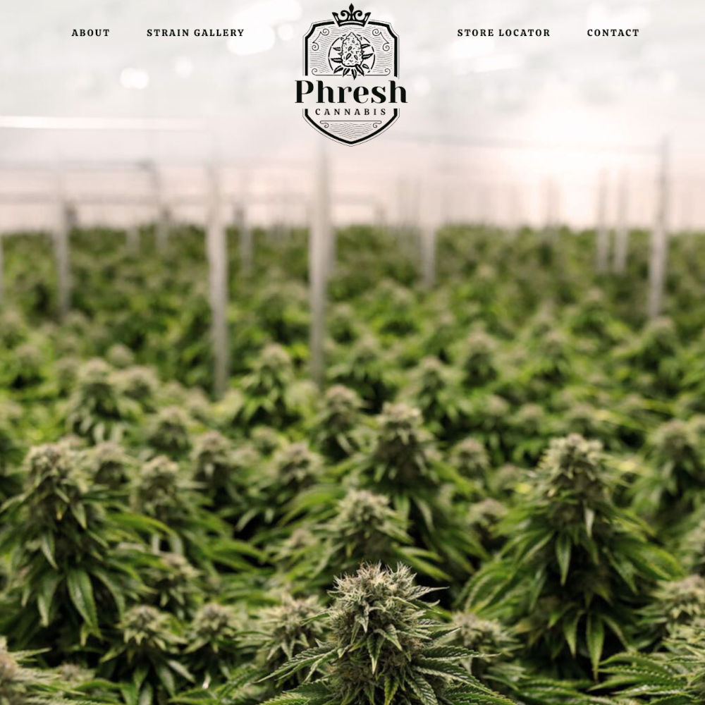 Phresh Cannabis Web Design